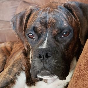 Meet your Posher, Tammy